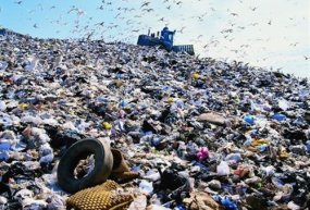 ОНФ: Кирилл Культин замалчивает важнейшую экологическую проблему